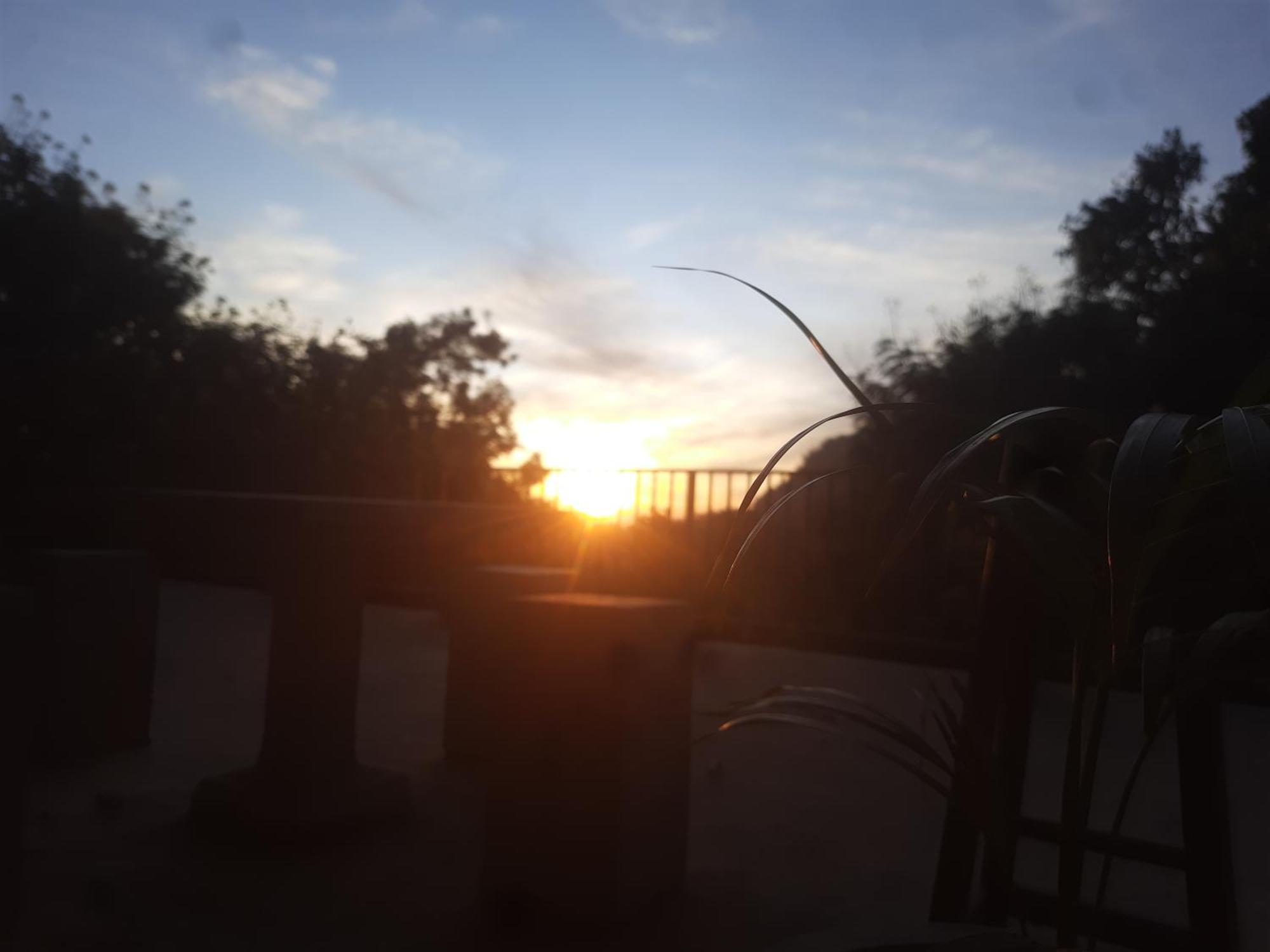 Solace Ella Luaran gambar